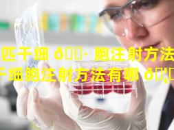 马匹干细 🌷 胞注射方法（马匹干细胞注射方法有哪 🦁 些）